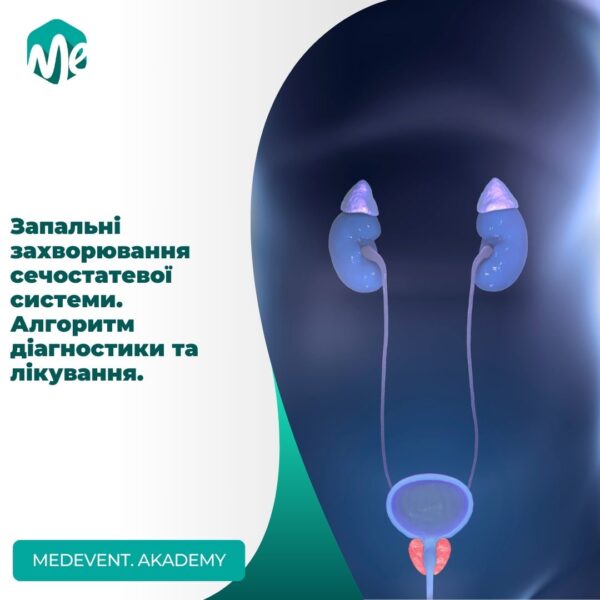 Запальні захворювання сечостатевої системи. Алгоритм діагностики та лікування.