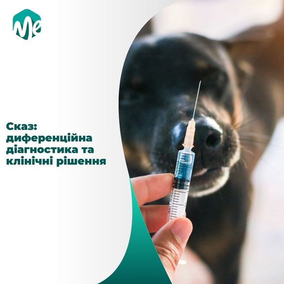 Сказ: диференційна діагностика та клінічні рішення