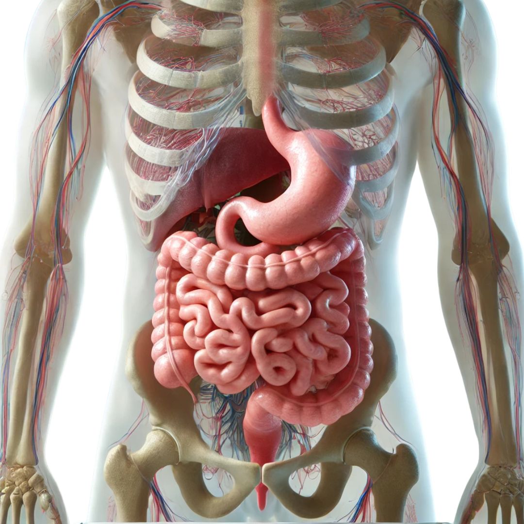Супровідна терапія гастроентерологічних захворювань